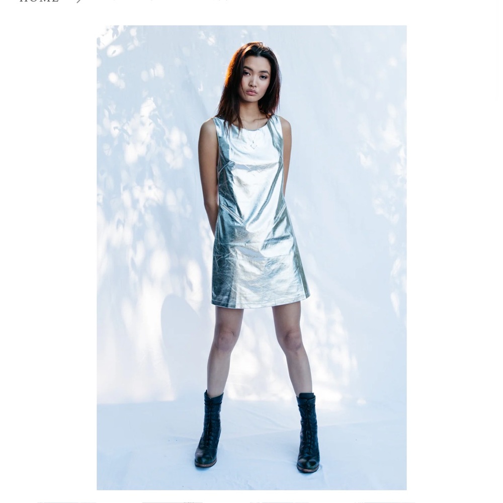 Silver Mini Dress - Picture 5 of 6